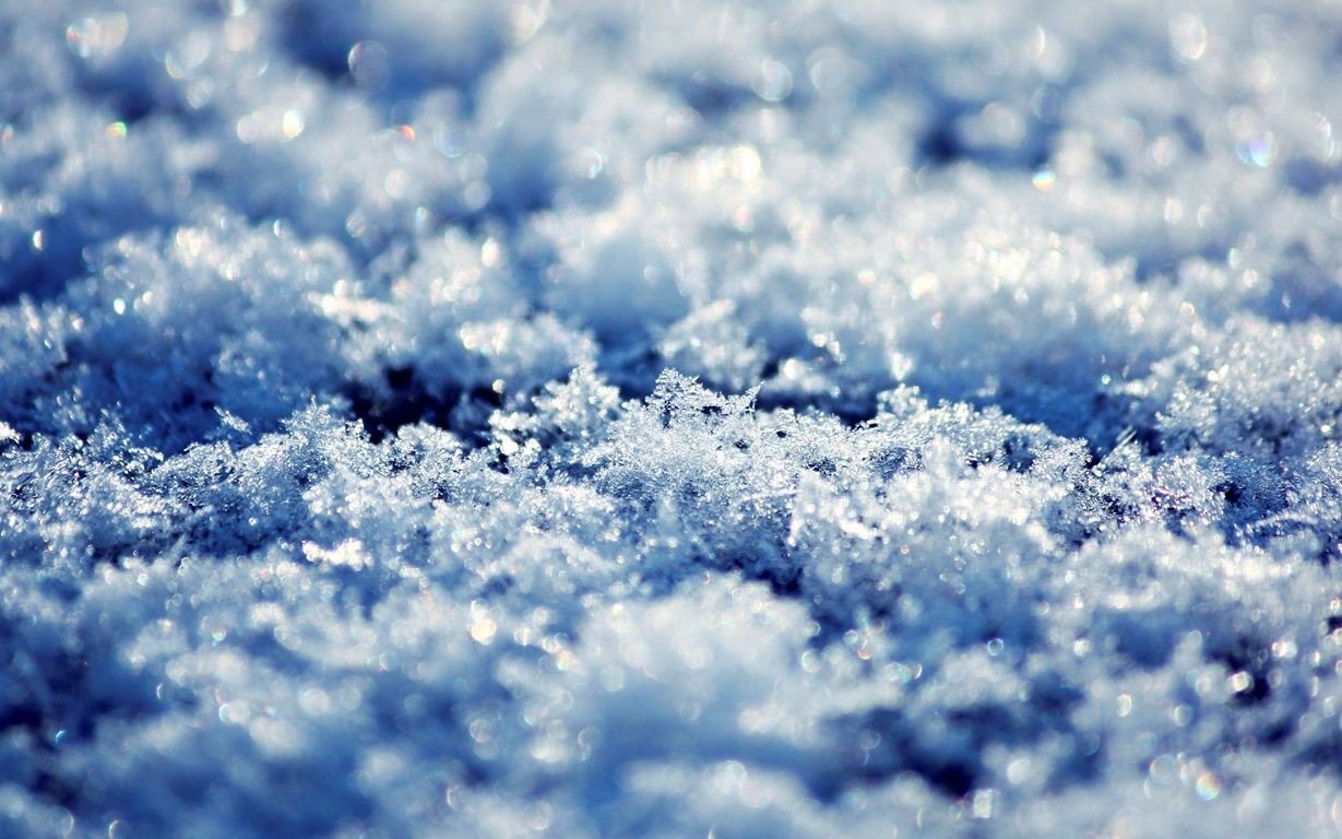 Frosted Macro Winter Landscape Wallpaper