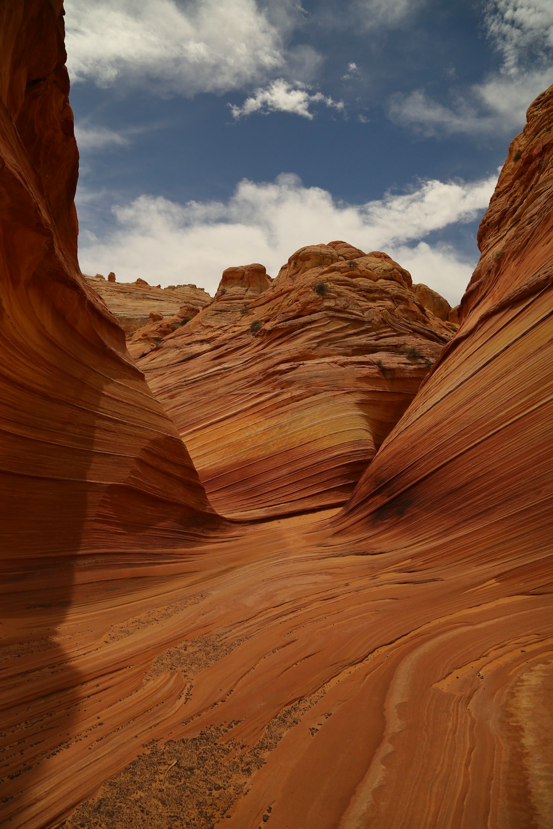 The Wave Mesa Wallpaper