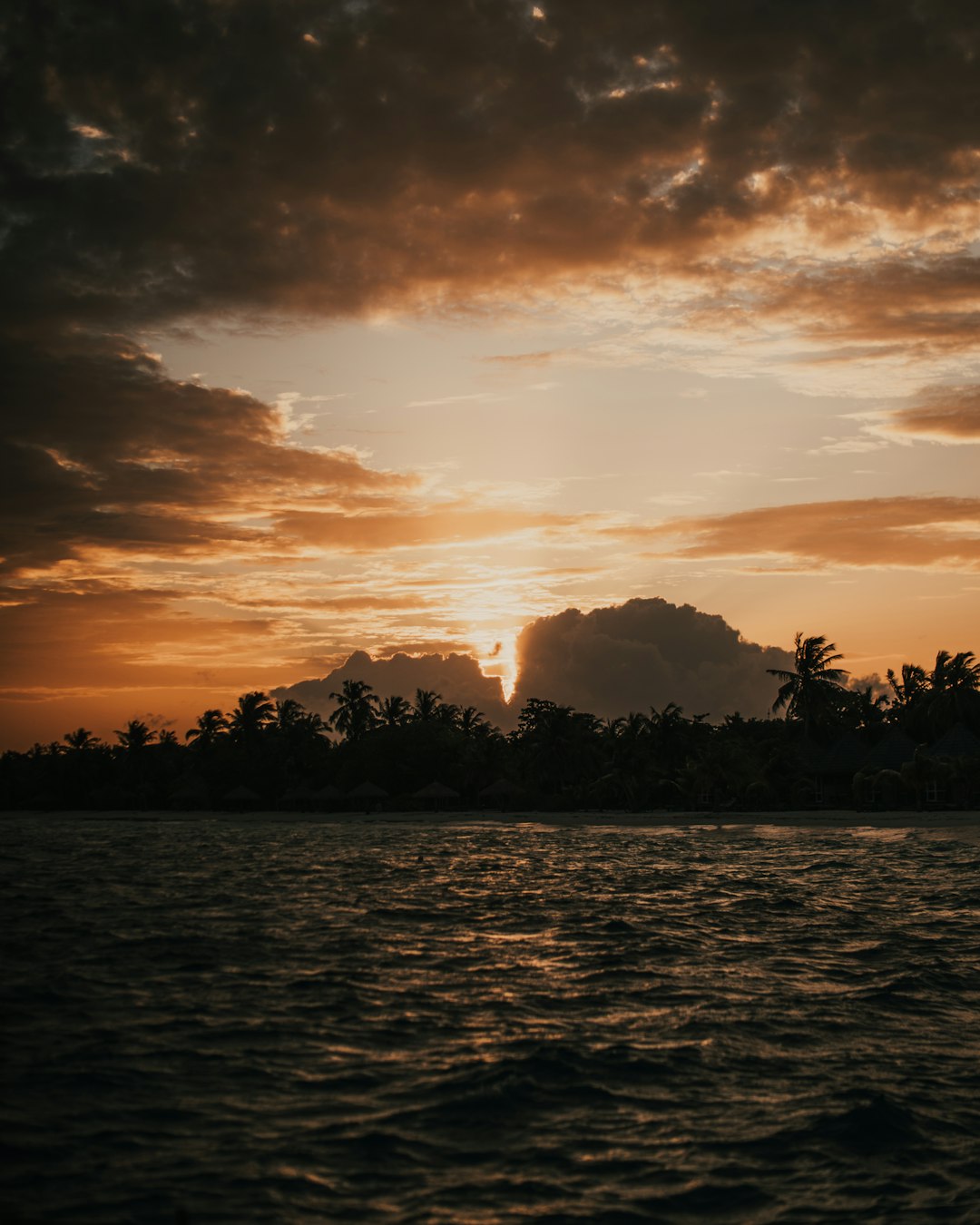 Tropical Sunset Palms Wallpaper