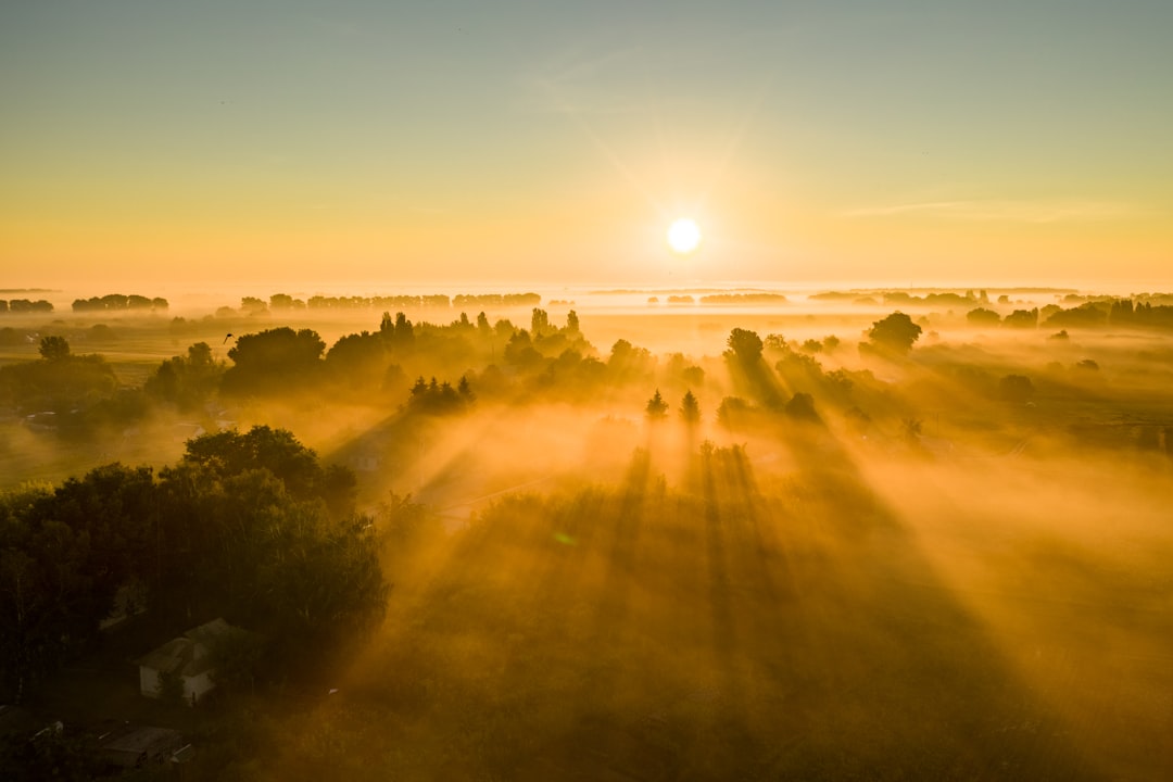 Dawn Fog Sunlight Wallpaper