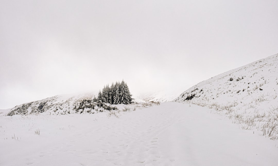 Winter Ski Slope Wallpaper