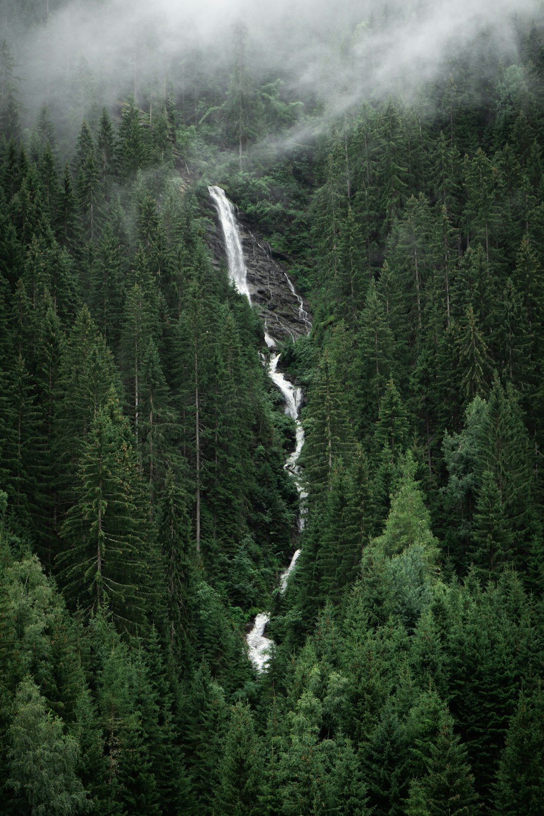 Foggy Forest Waterfall Wallpaper