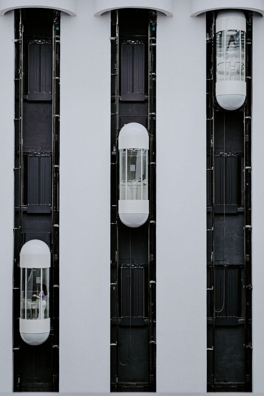 Shenzhen Indoor Room Wallpaper