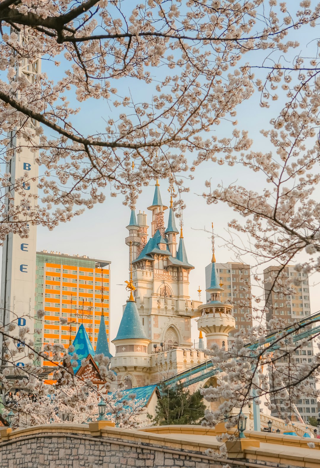 Seoul Cherry Blossom Adventure Wallpaper