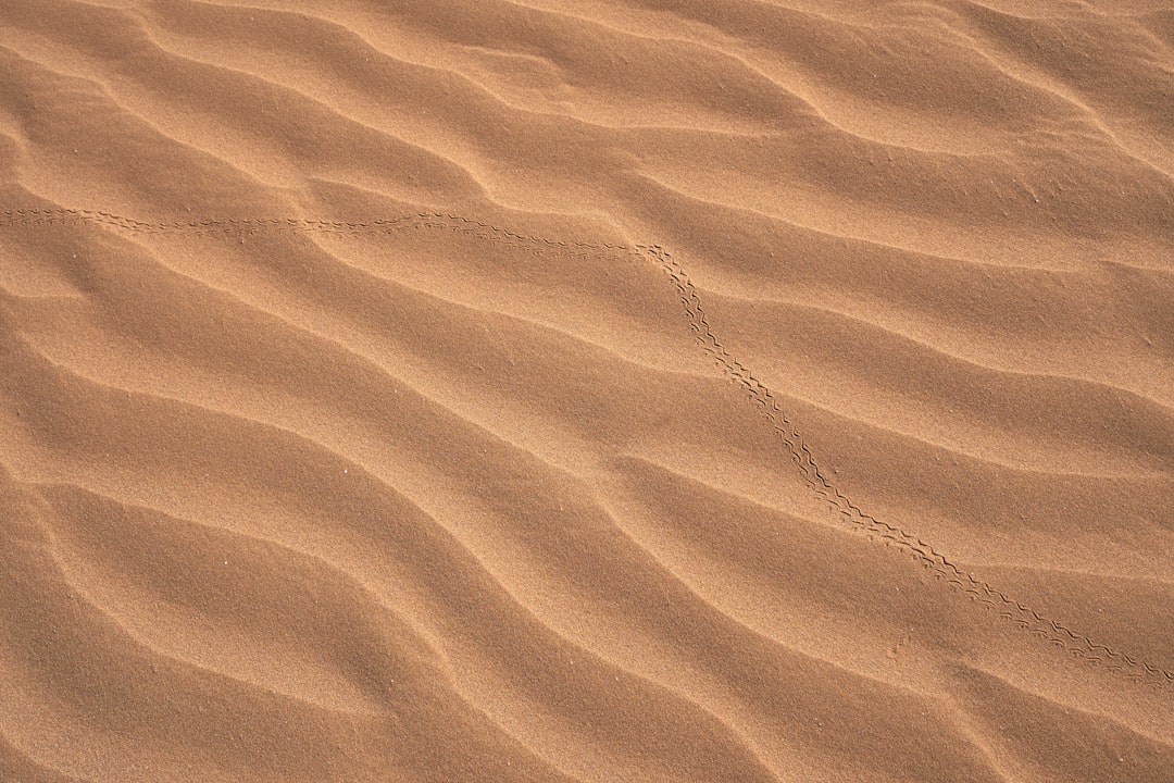 Purple Sand Dune Wallpaper