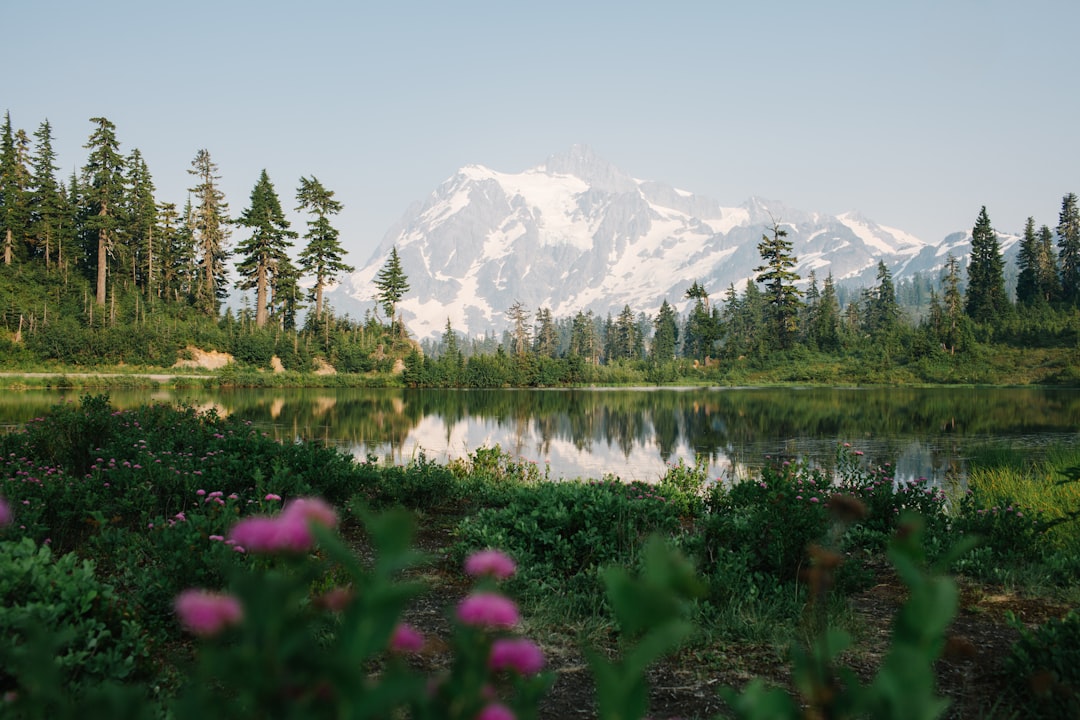 Vibrant Summer Hike Wallpaper