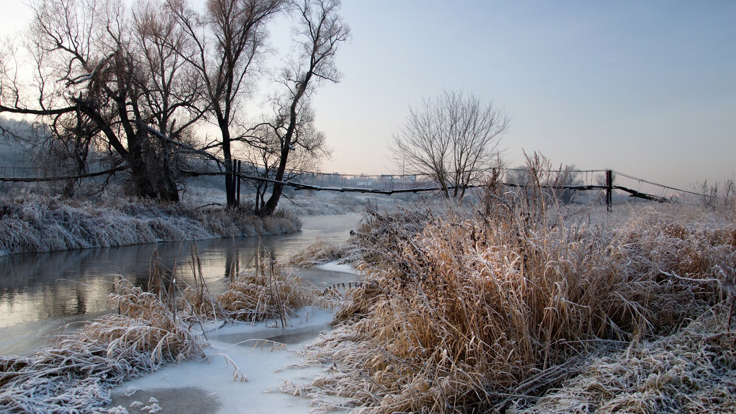 Winter Forest Bridge Wallpaper