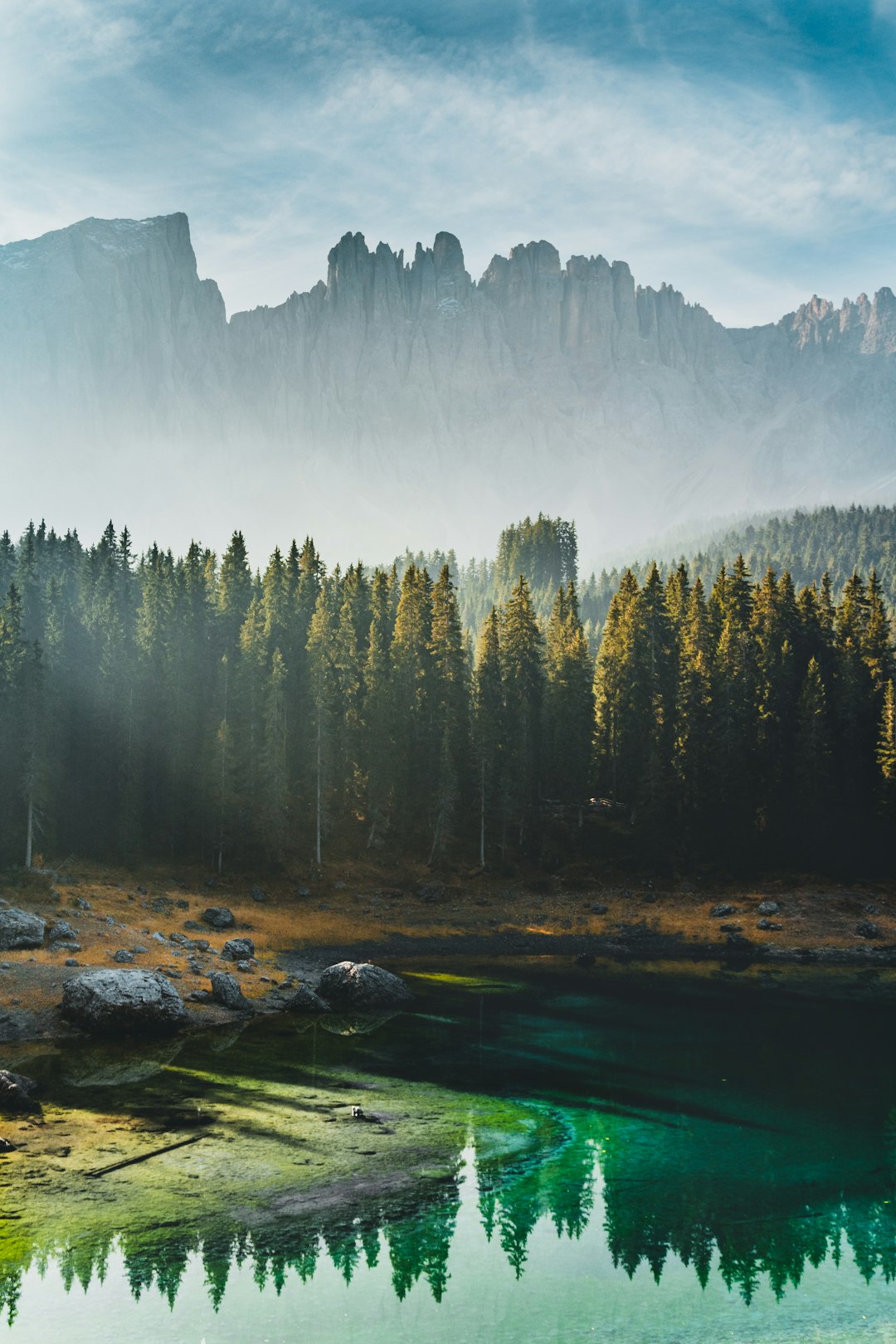 Tyrol Forest Sunrise Wallpaper