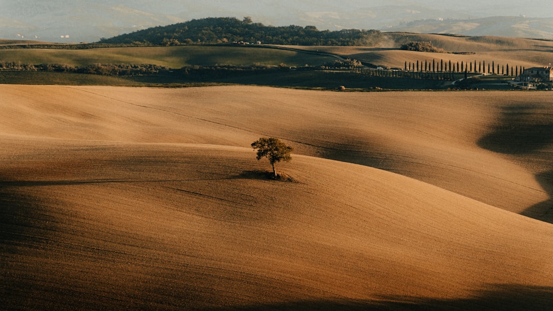 Tuscan Desert Horizon Wallpaper