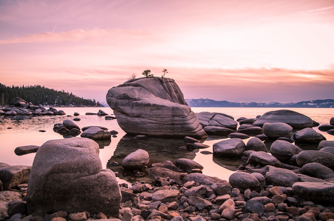 Turtle Beach Shore Wallpaper