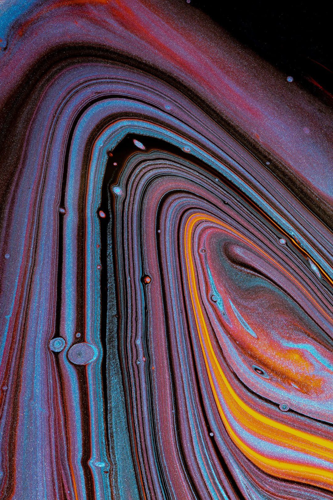 Editor's Choice Wallpaper