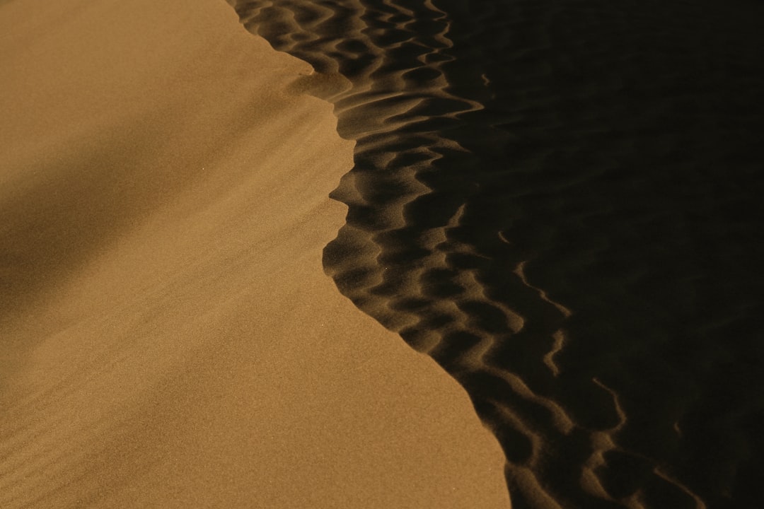 Giraffe Dune Shadow Wallpaper