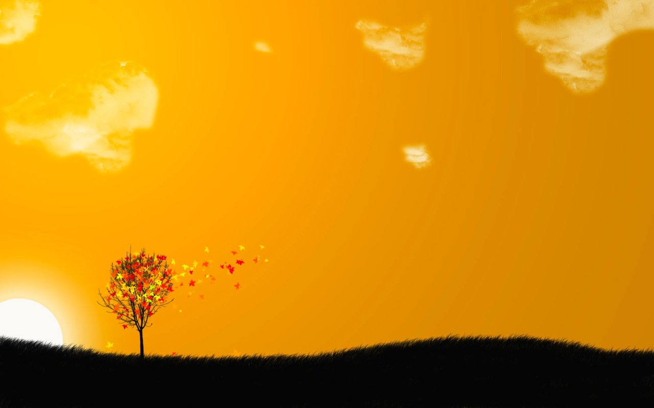 Fall Sunset Field Wallpaper
