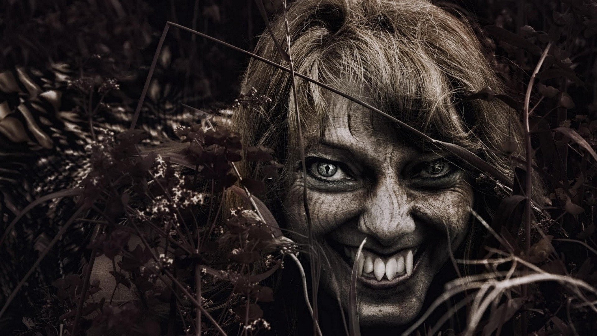 Vampire Demon Horror Wallpaper