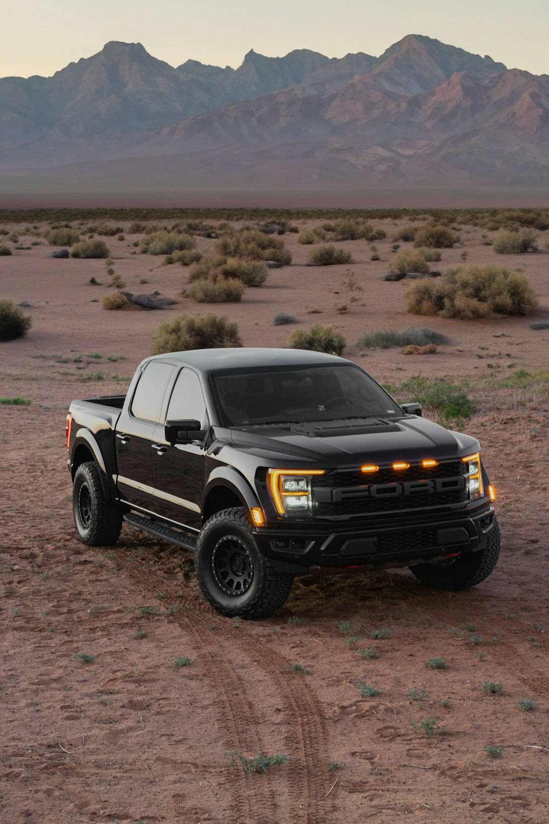 Ford Raptor Desert Adventure Wallpaper