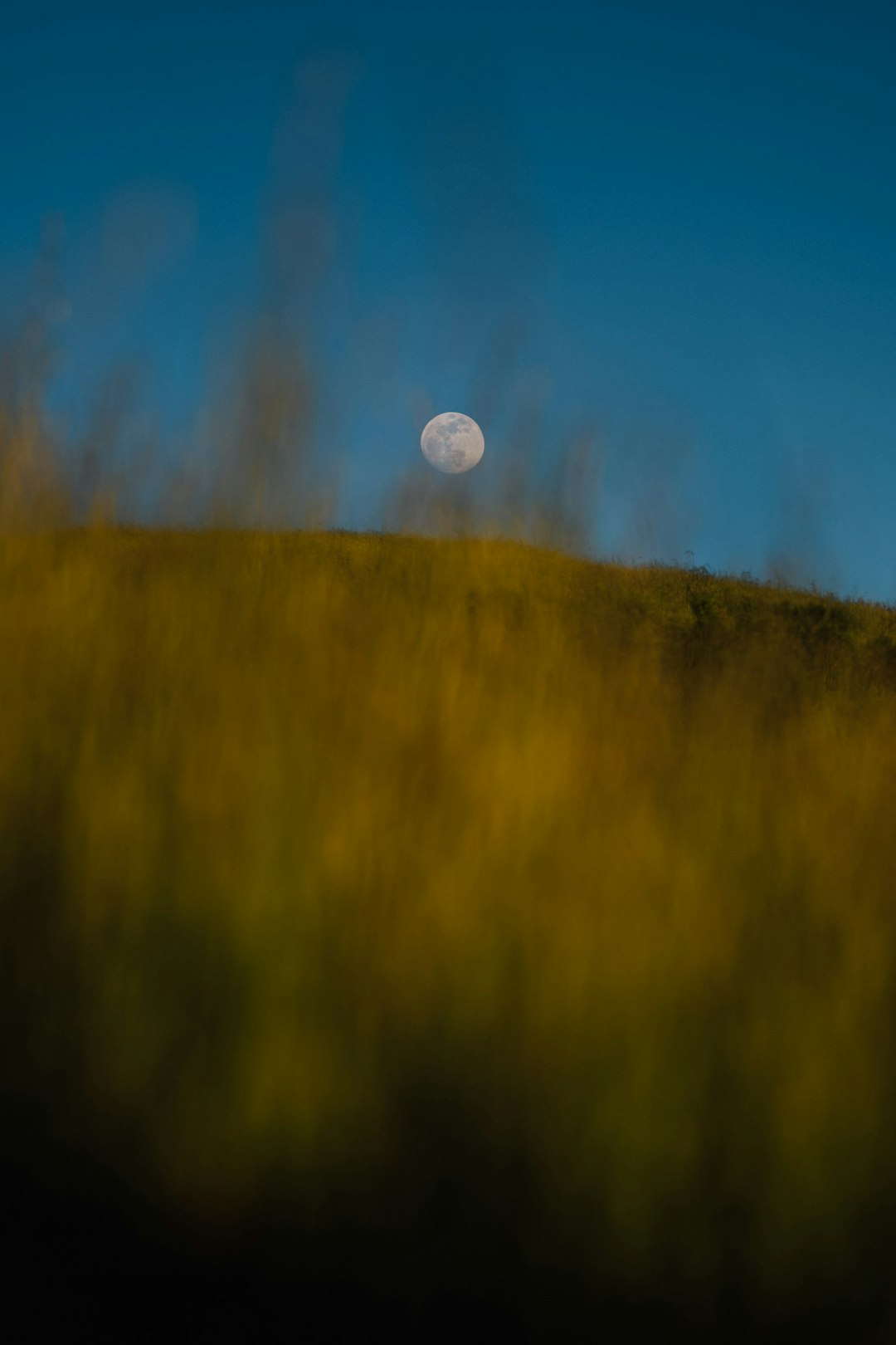 Moonrise Field California Wallpaper