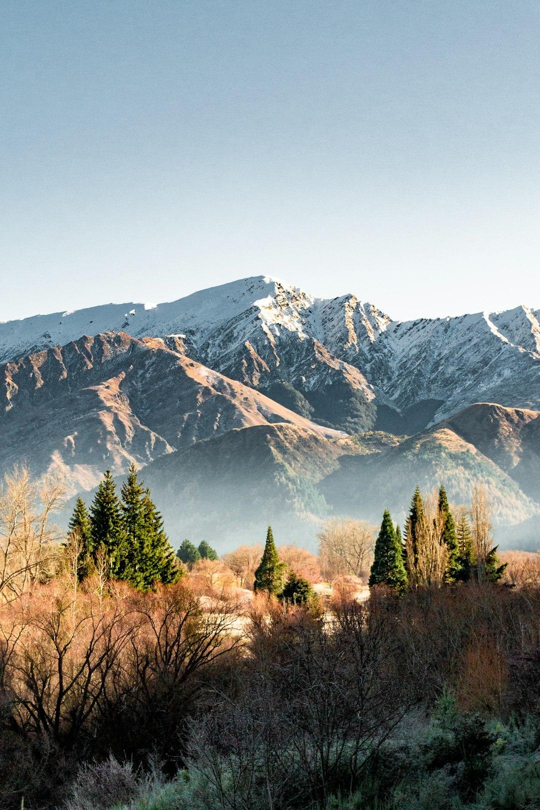 Arrowtown Pine Peaks Wallpaper