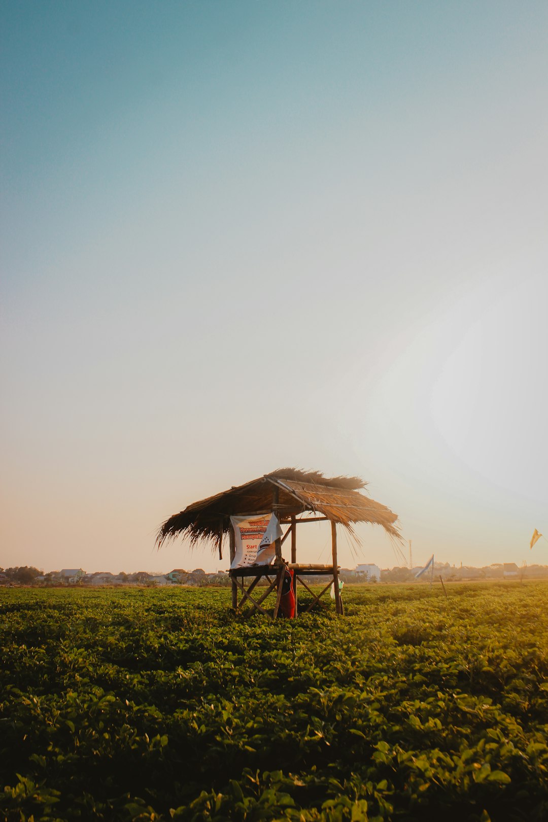 Sunrise Over Indonesian Farmland Wallpaper