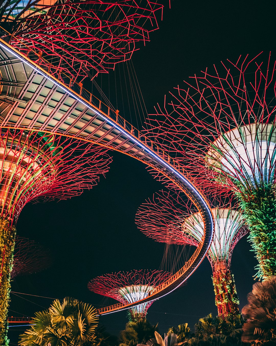 Festival Night Fireworks Wallpaper