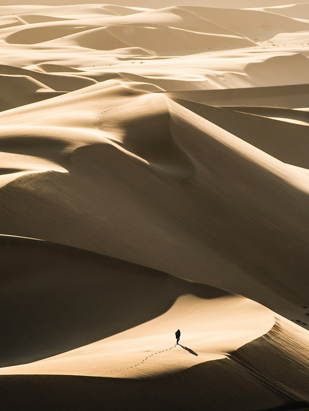 Desert Sunset Shadows Wallpaper