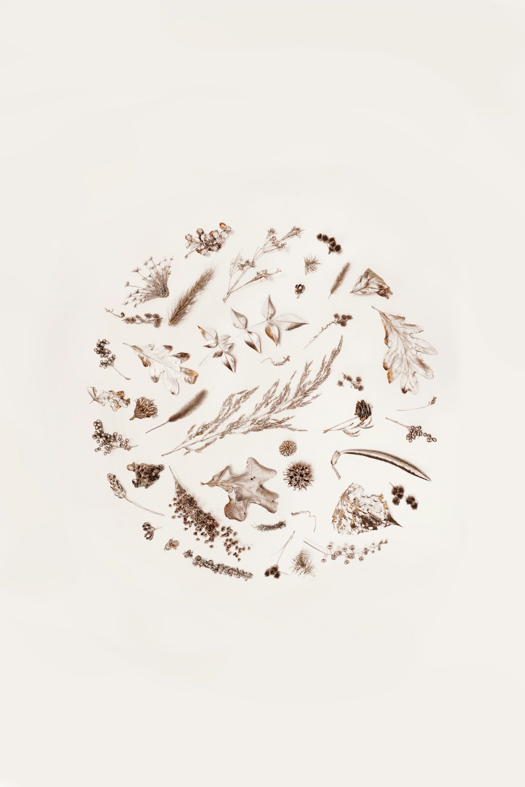 Handcrafted Floral Porcelain Wallpaper