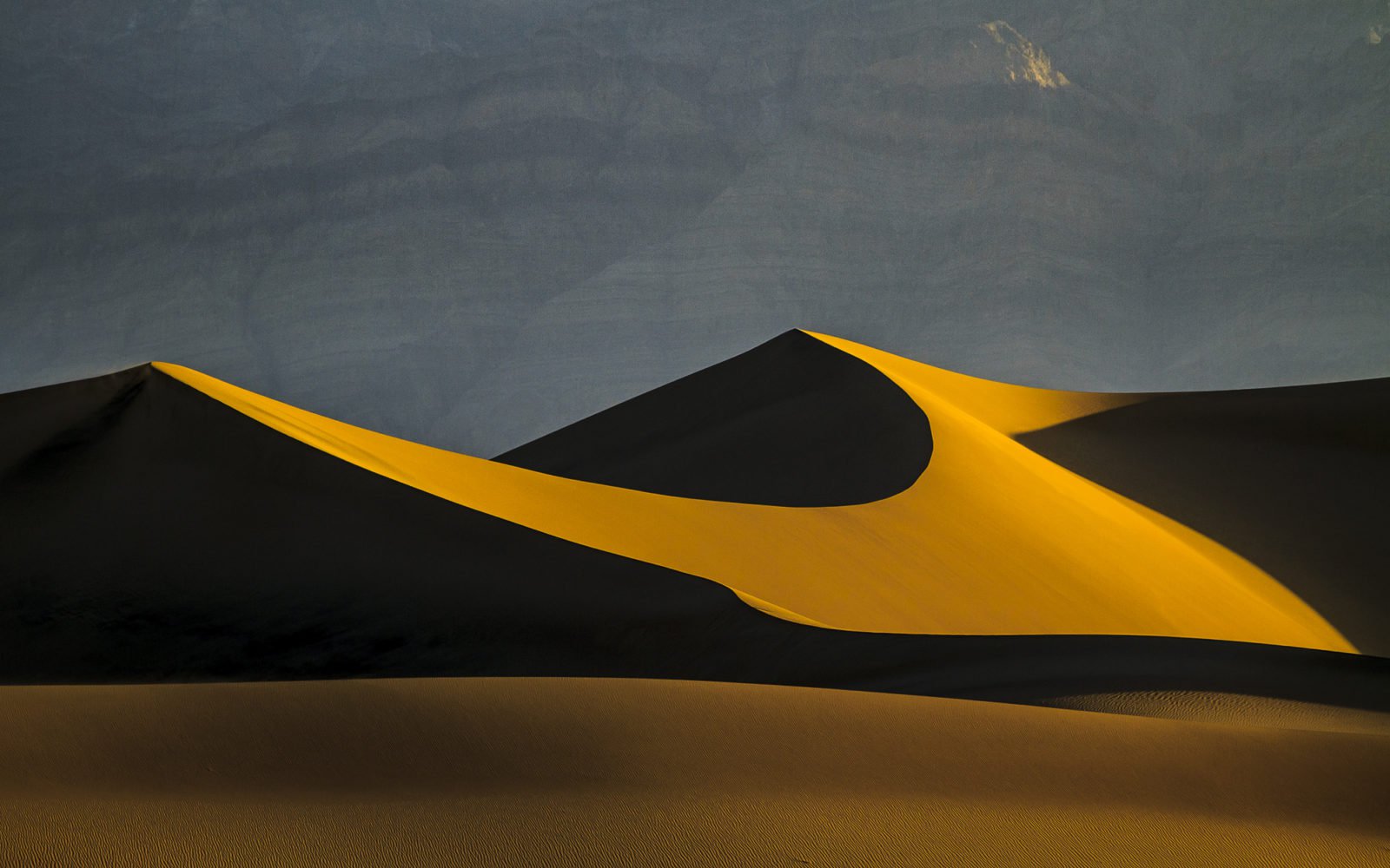 Golden Desert Dunes Wallpaper