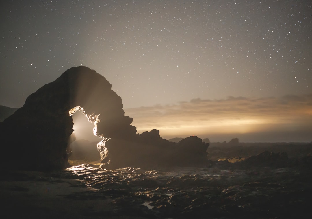 Collector's Choice Wallpaper