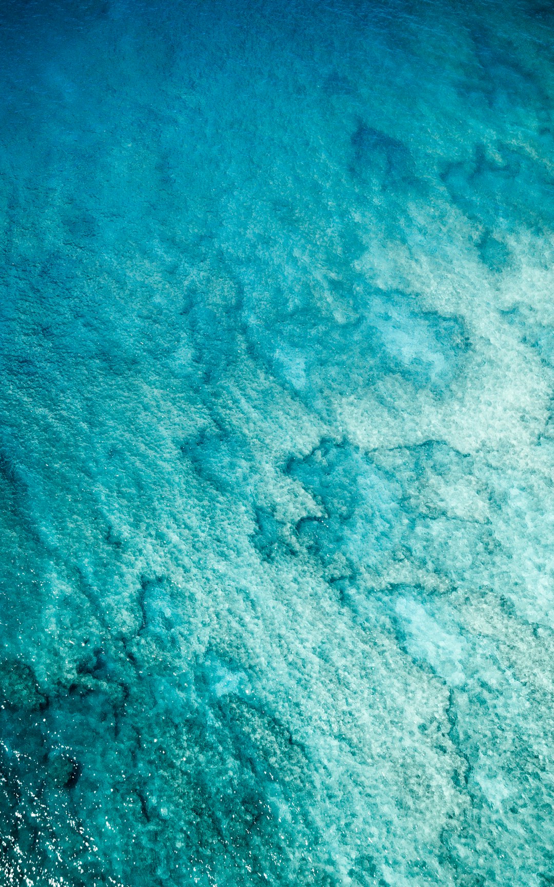 Tropical Reef Aerial Hawaii Wallpaper