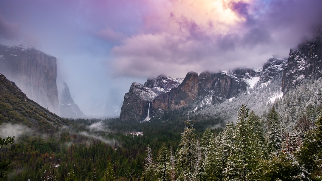 Misty Pine Mountain Range Wallpaper
