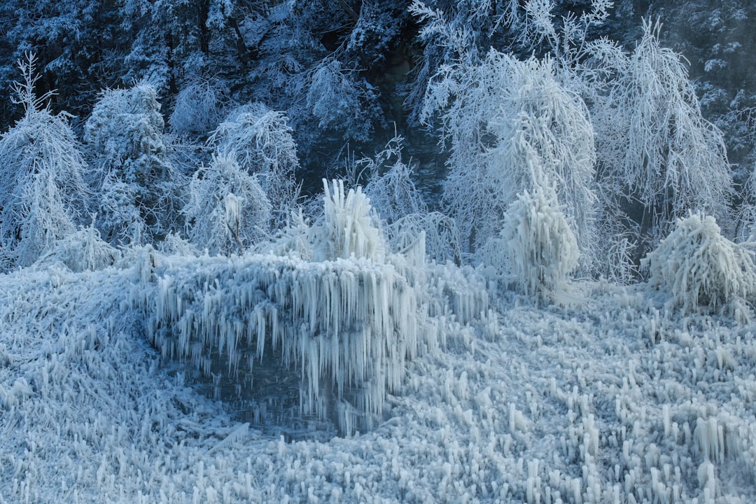 Frosty Letchworth State Park Wallpaper
