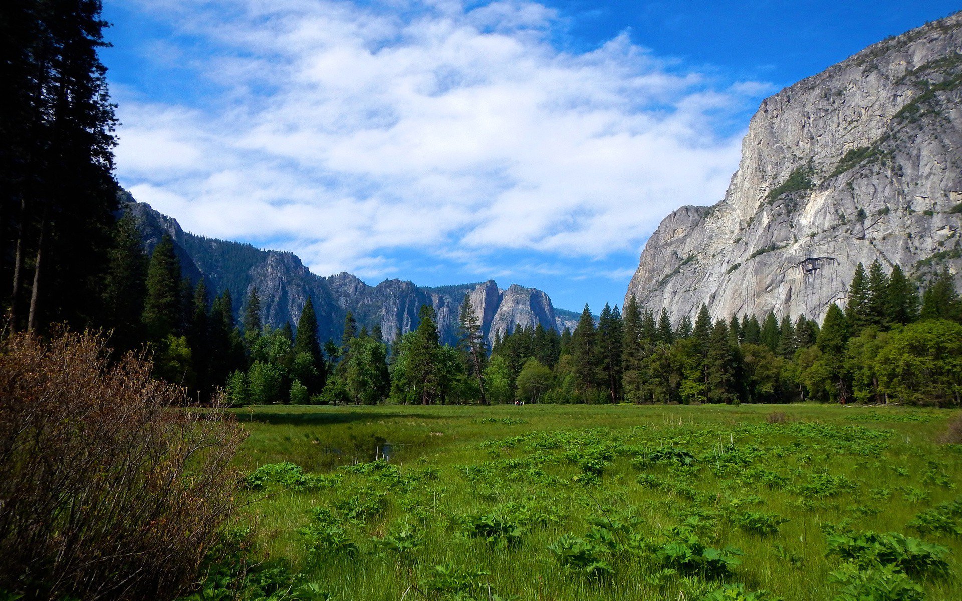 Yosemite Valley Cliff Wallpaper