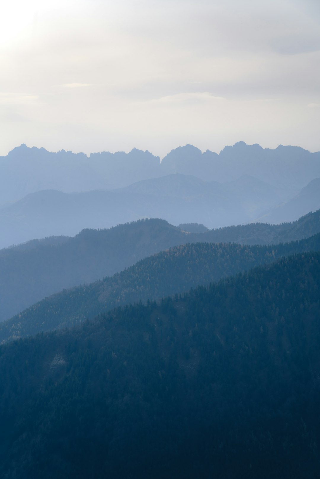 Bavarian Alpine Forest Wallpaper