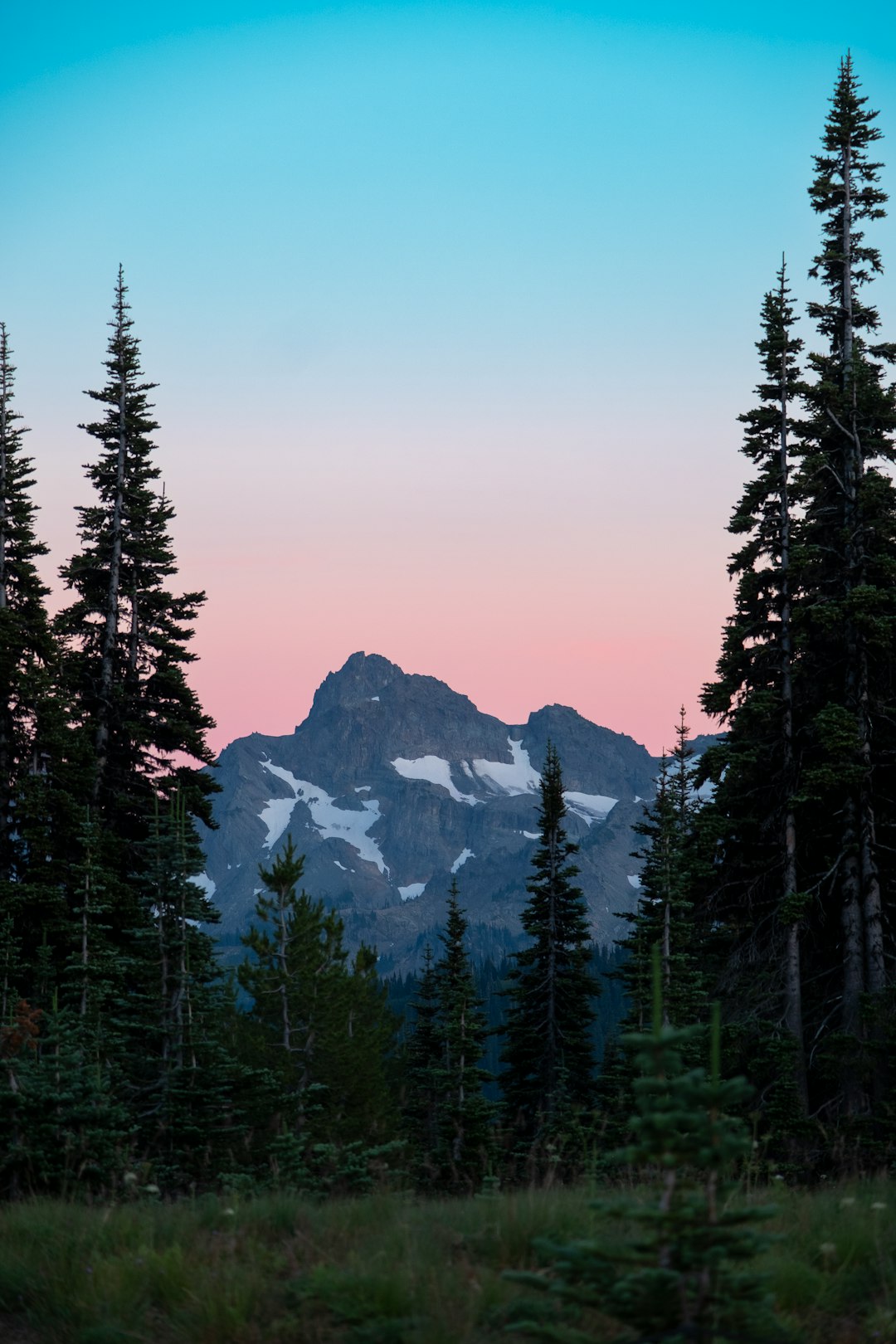 Mt Rainier Dawn Glow Wallpaper