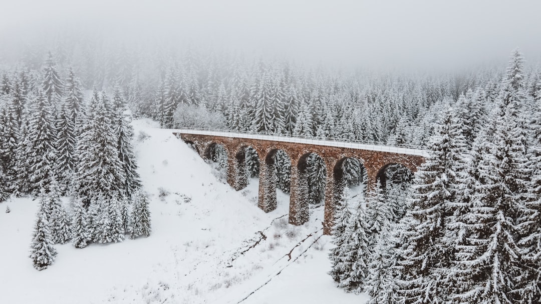 Snowy Viaduct Bridge Wallpaper