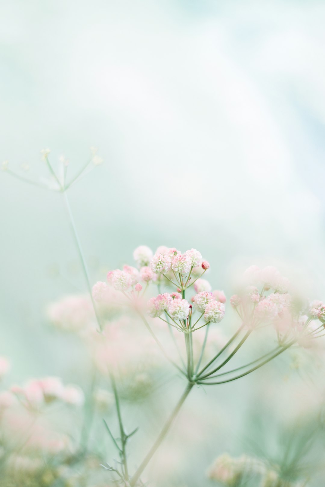 Grey Floral Spring Wallpaper