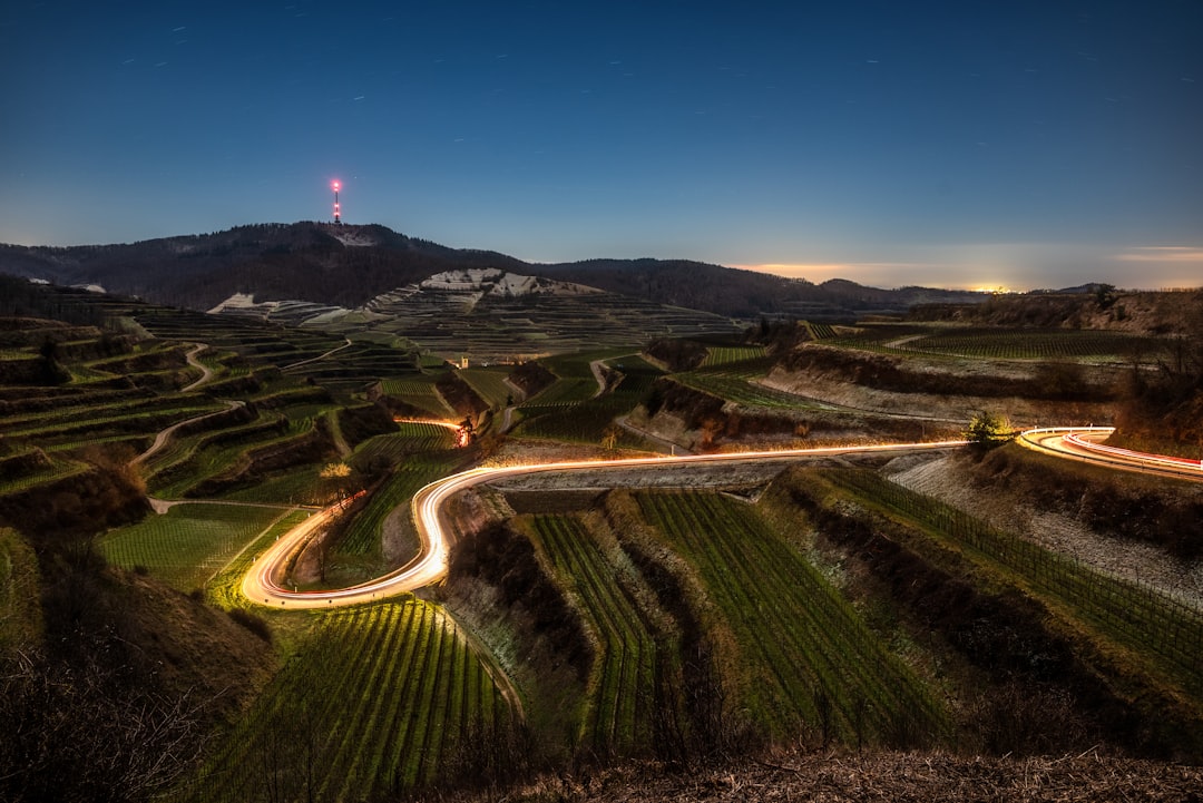 Serene Night Vineyard Road Wallpaper