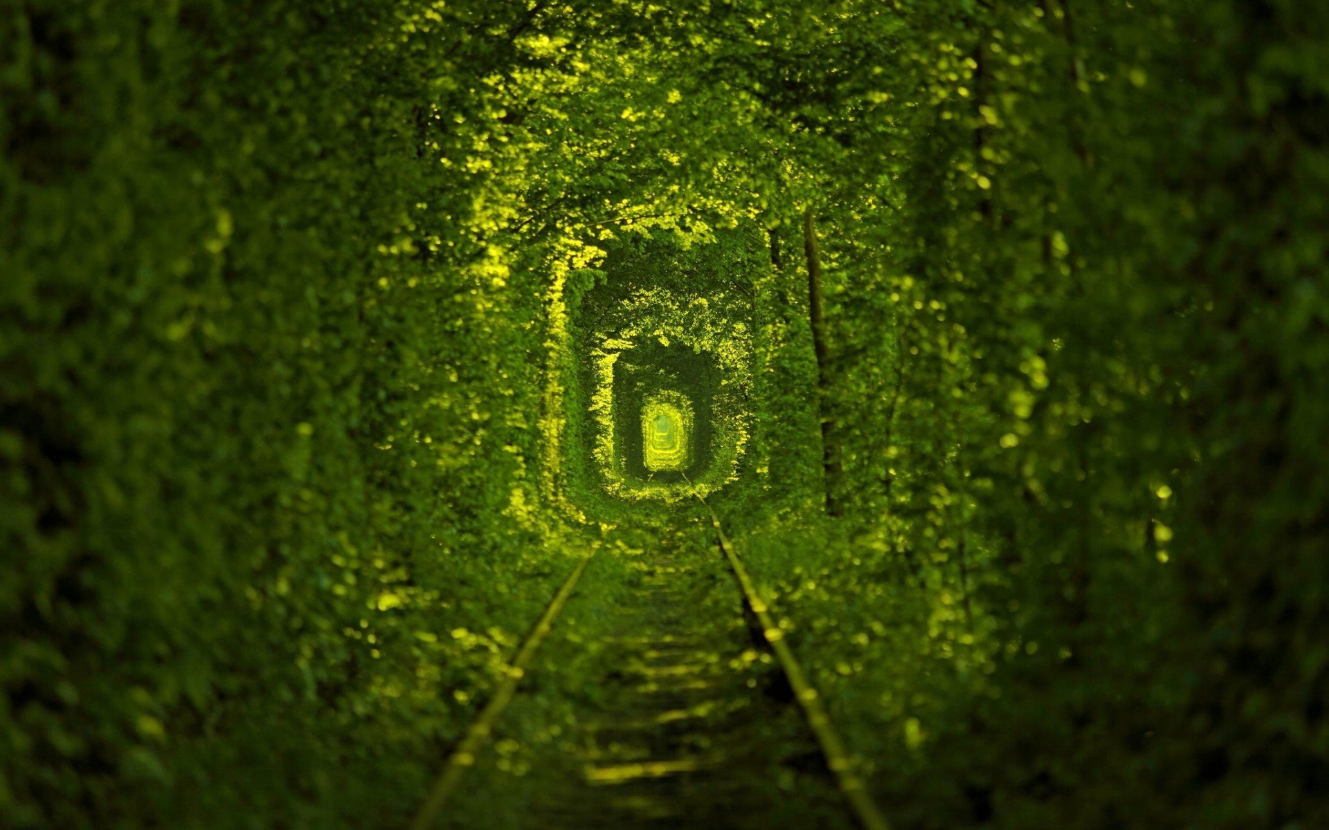 Green Railway Tunnel Wallpaper