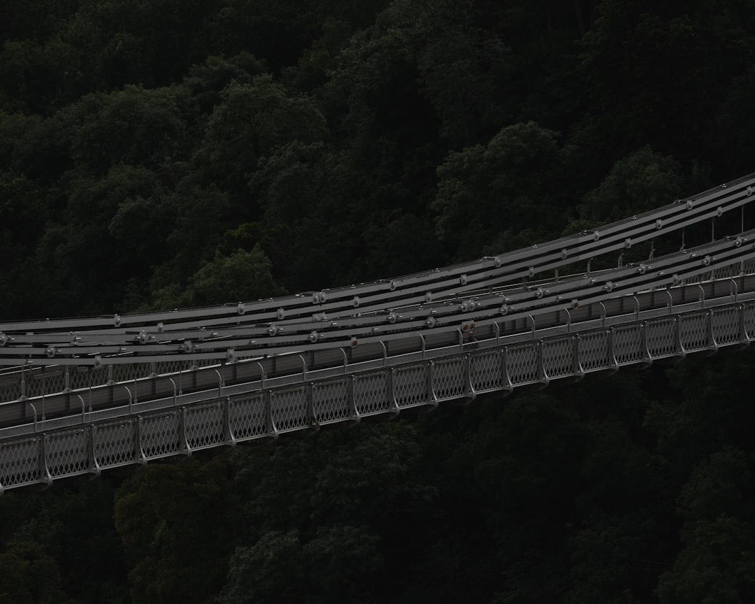 Mystic Night Bridge Wallpaper
