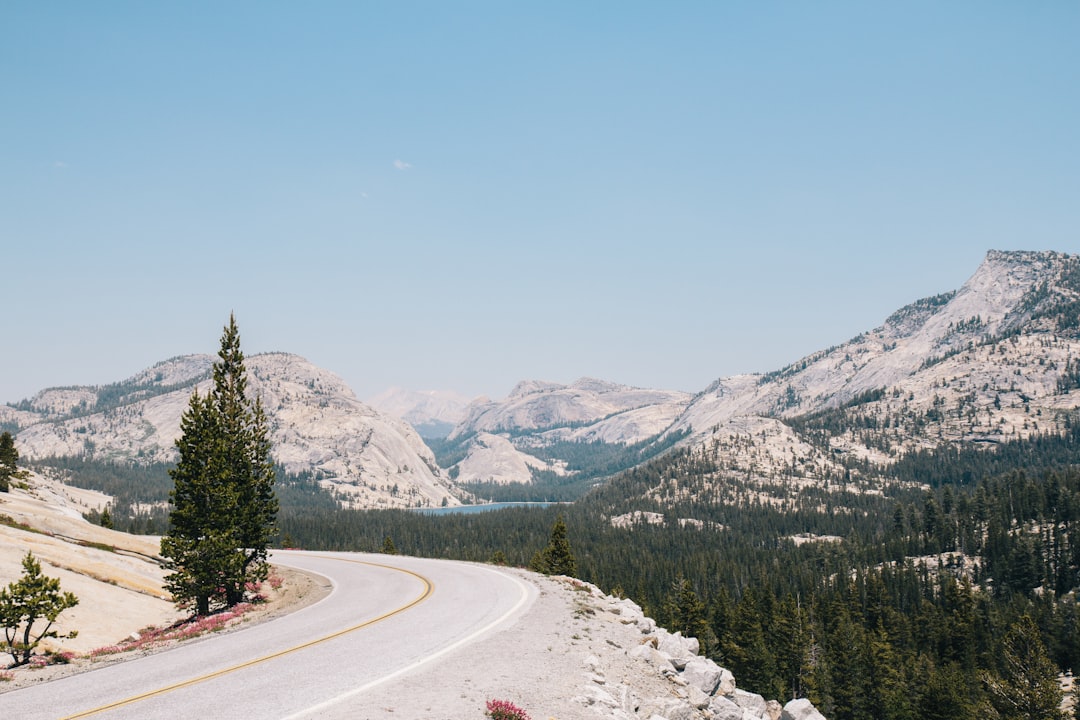 Yosemite National Park Road Wallpaper