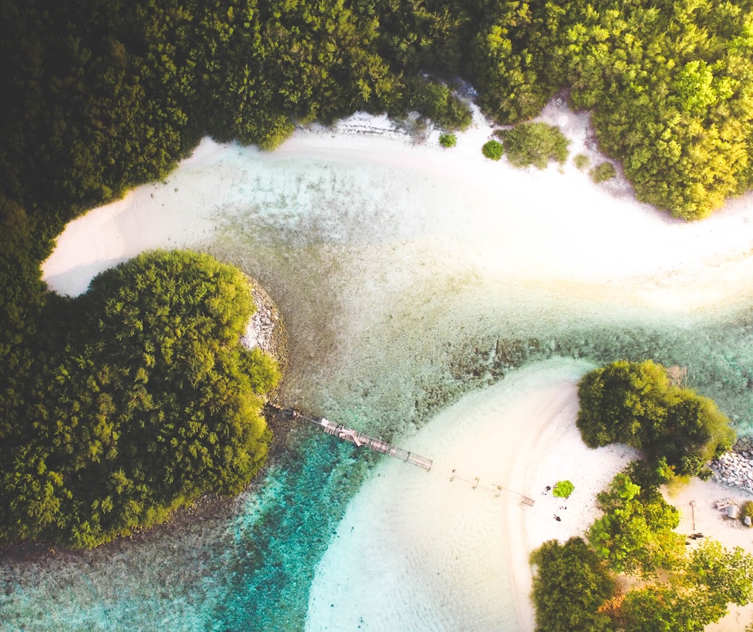 Maldives Coral Reef Wallpaper