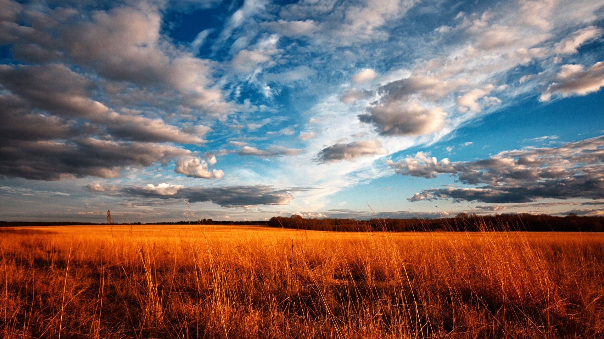Endless Clouds Field Wallpaper