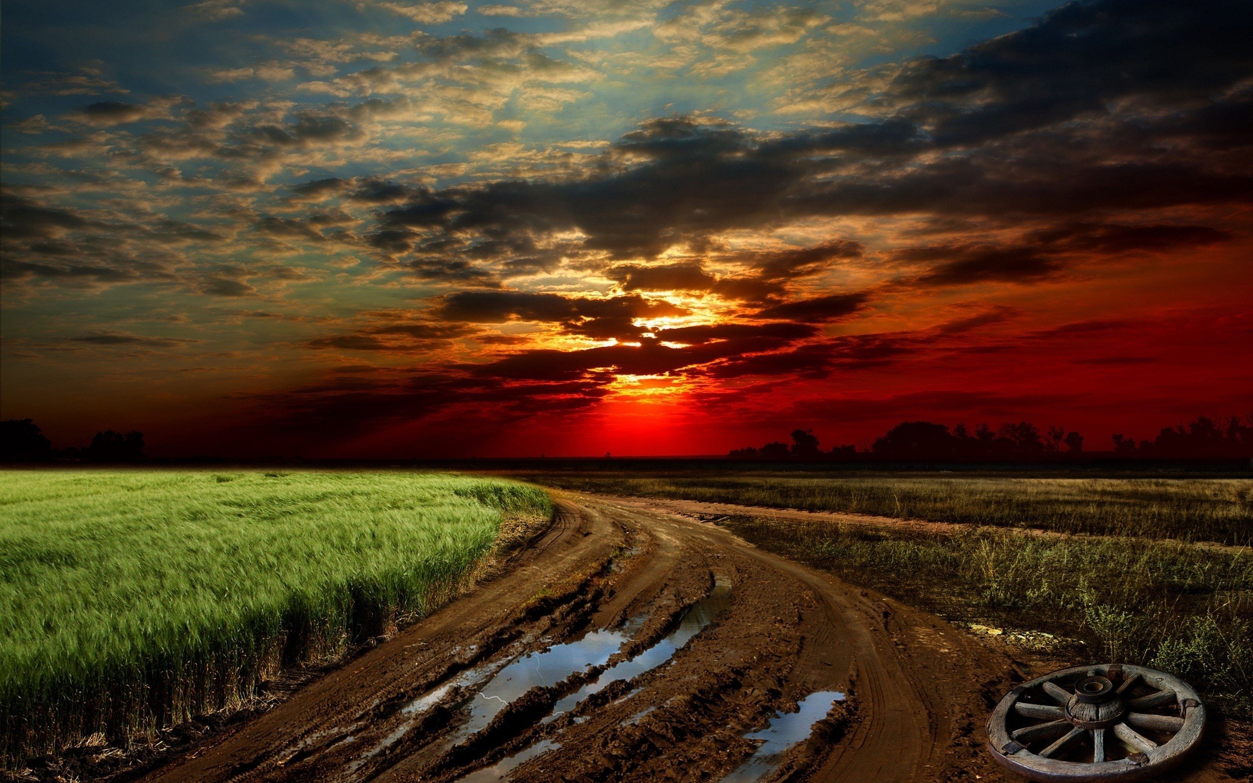 Golden Sunset Field Wallpaper