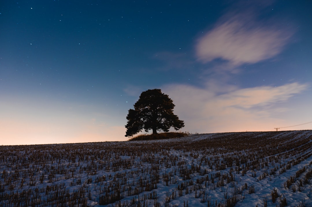 Winter Night Sky Frost Wallpaper
