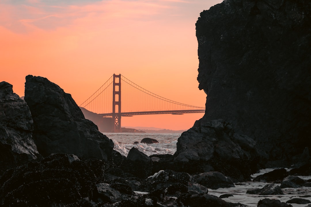 Black San Francisco Skyline Wallpaper
