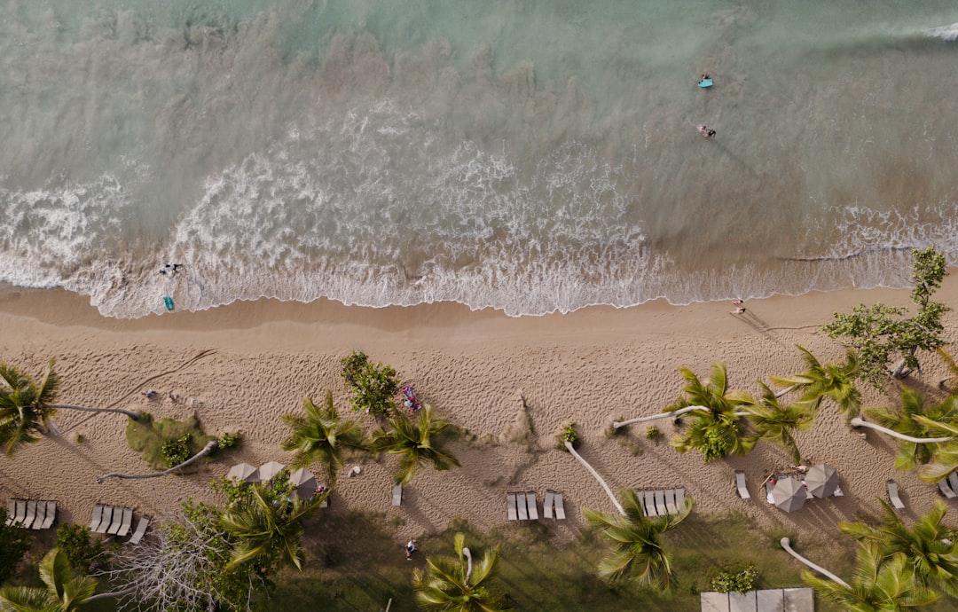 Tropical Beach Palms Wallpaper
