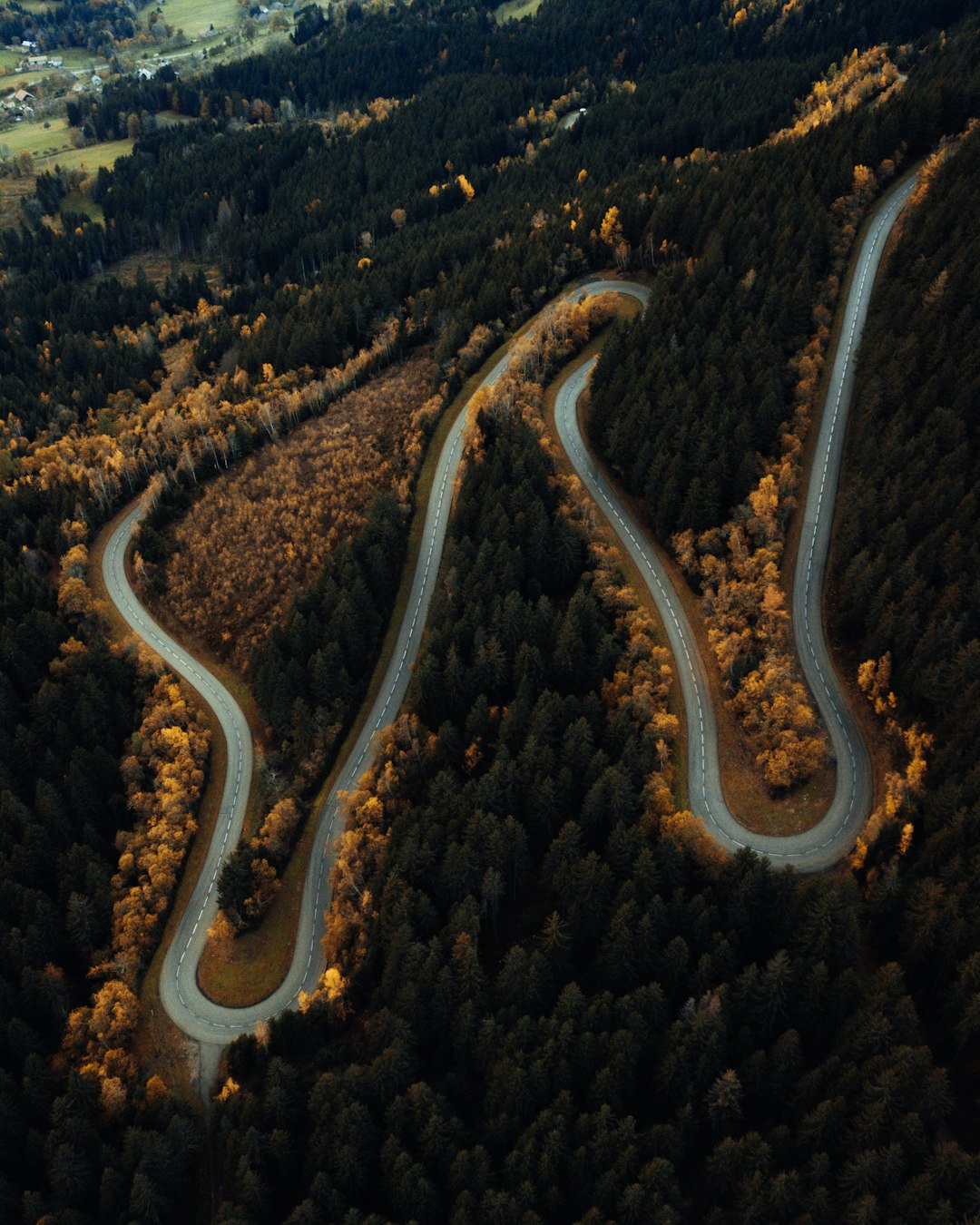 Green Snake Road France Wallpaper