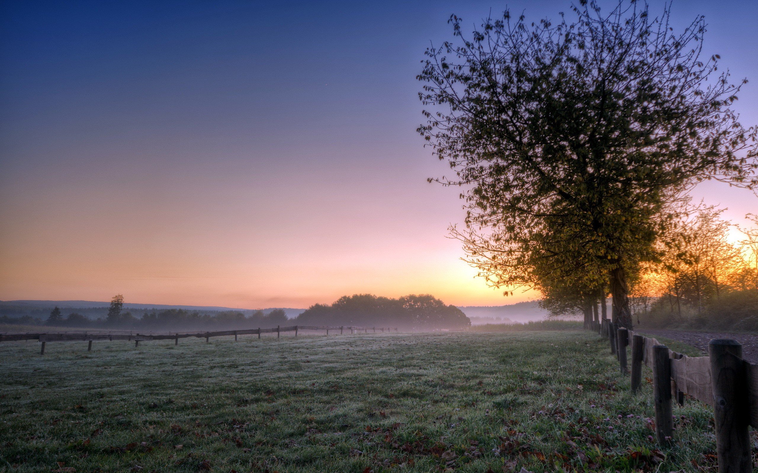 Misty Sunset Field Wallpaper