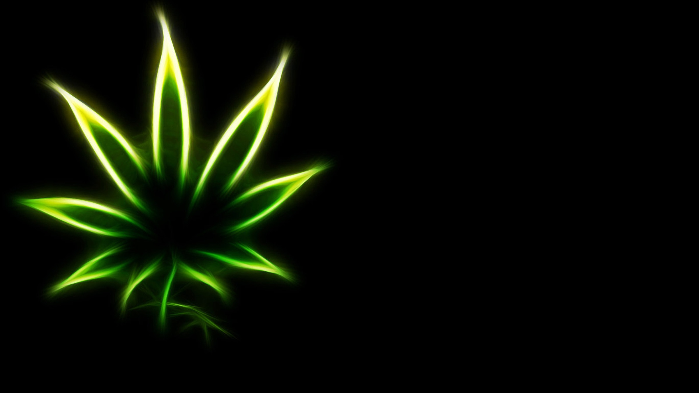 Minimalist Green Plant Wallpaper