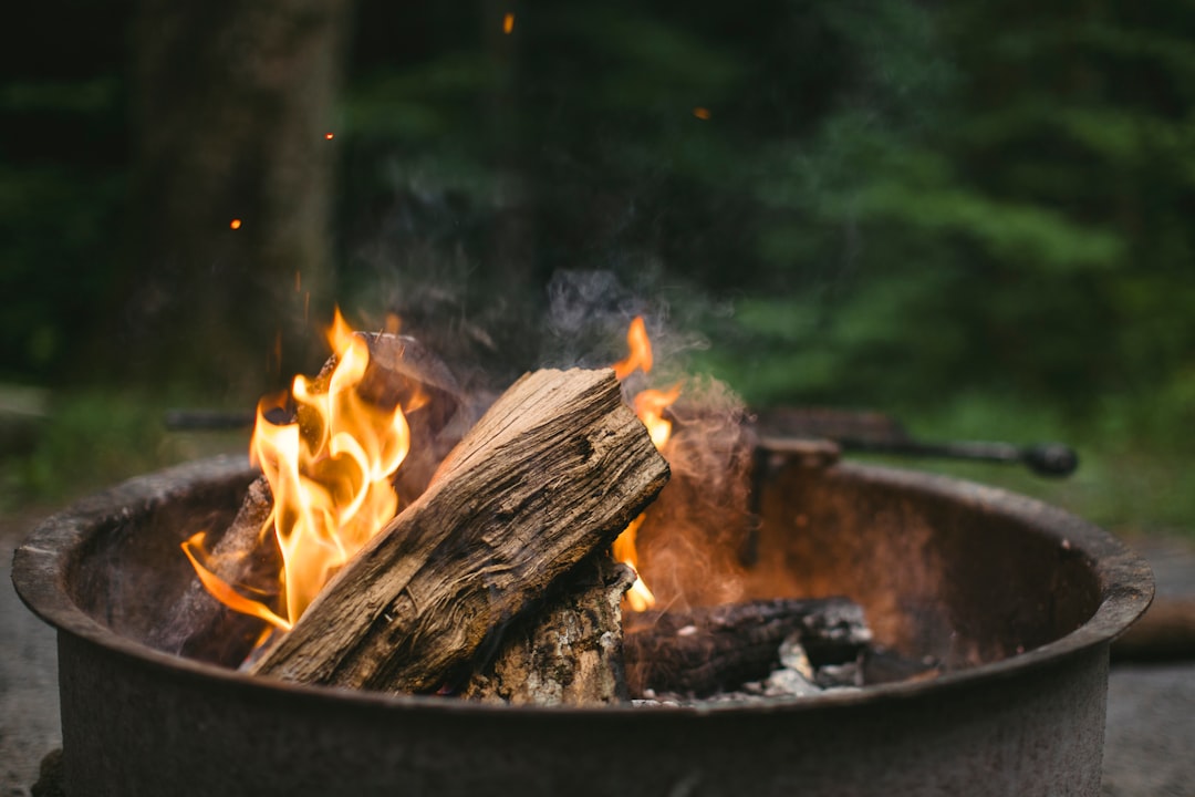 Summer Forest Bonfire Wallpaper