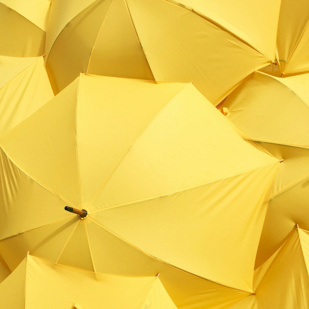 Editor's Choice Wallpaper
